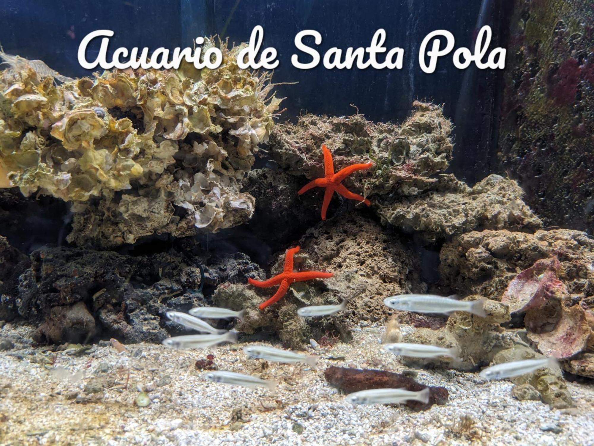 Best Holiday Santa Pola Exterior foto
